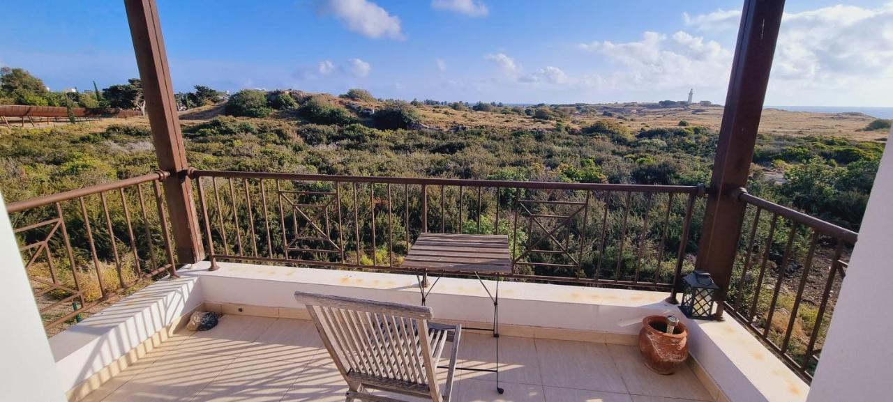 Ancient Paphos - Cozy Place Next To The Sea, Marina, Historical Sites, Buses, Mall, And Market Esterno foto